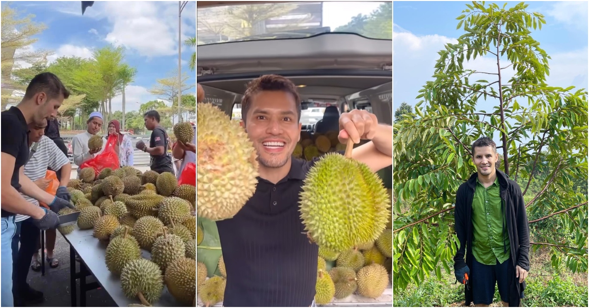 Selepas Pokok Musang King Mati Dato Aliff Syukri Teruja Raih Hasil